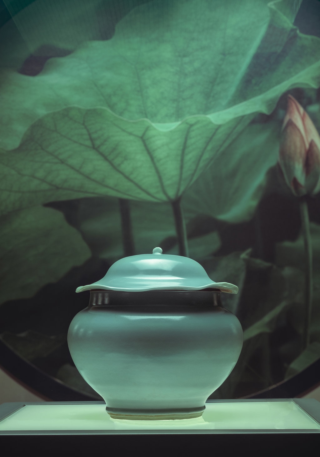 宋瓷专题博, 动车赶赴遂, 搭车 宋瓷专题博, 动车赶赴遂, 搭车